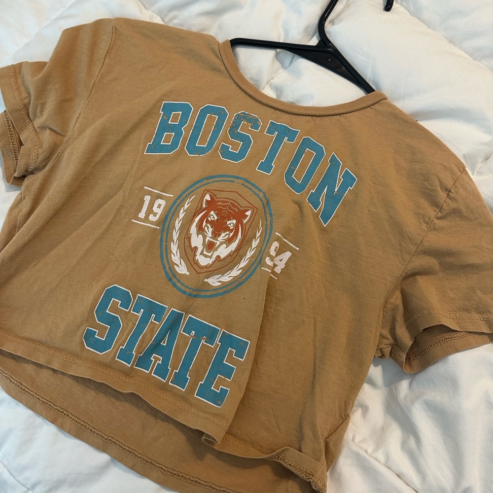 Boston state crop top